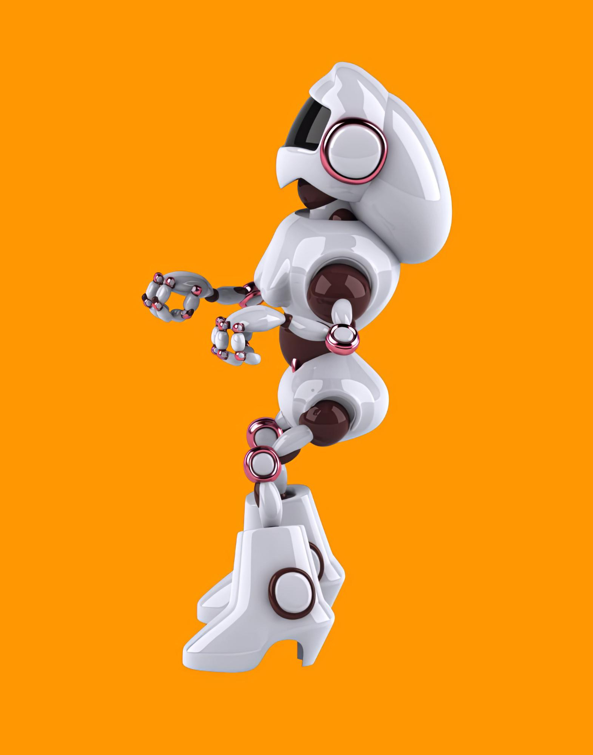 Professional Portrait